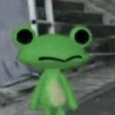 frog